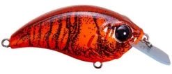Bill Lewis SB-57 Squarebill Crankbait Lure - Red Glitter Craw