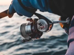 Daiwa Certate SW Spinning Reels -Fishing Gear Store daiwa certate sw spinning reels 18073.1651409087
