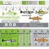 Florida Inshore Slam Release Ruler Decal