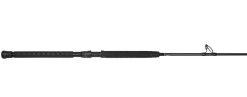 Jigging World Raptor Rods -Fishing Gear Store jigging world raptor rods 59486.1680784559