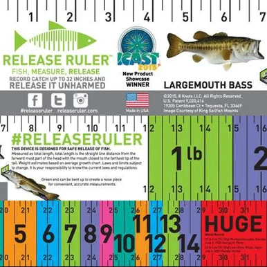 Largemouth Bass Release Ruler Decal 1 Largemouth Bass Release Ruler Decal
