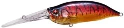 Megabass IXI Shad TX Crankbait -Fishing Gear Store megabass ixi shad tx crankbait 10296.1678368715