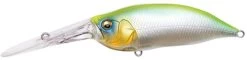 Megabass IXI Shad TX Crankbait -Fishing Gear Store megabass ixi shad tx crankbait 74879.1678368717