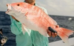 Sharkbanz Fishing Zeppelin -Fishing Gear Store sharkbanz sbf 0zep zeppelin 76776.1651418536