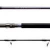 Temple Reef Ronin Spinning Rod