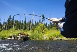Thomas & Thomas Avantt Series Fly Rods -Fishing Gear Store thomas thomas avantt series fly rods 24051.1651330434