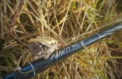 Thomas & Thomas Avantt Series Fly Rods -Fishing Gear Store thomas thomas avantt series fly rods 92418.1651330433