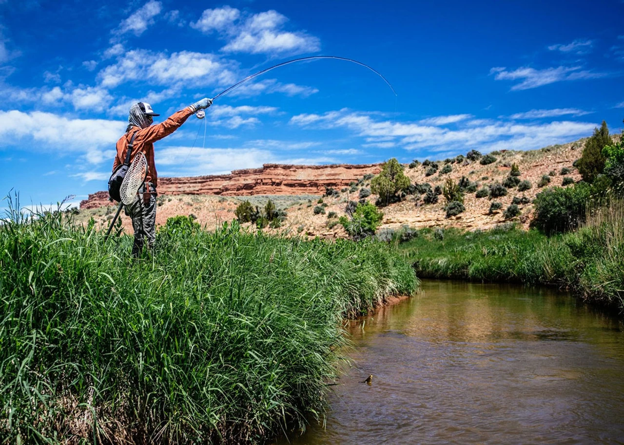 Thomas & Thomas Lotic Series Fly Rods 4 Thomas & Thomas Lotic Series Fly Rods - Image 4