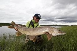 Thomas & Thomas Exocett Predator Fly Rod - 9 Ft. 4 In. - 45 Grain 7 Thomas & Thomas Exocett Predator Fly Rod - 9 Ft. 4 In. - 45 Grain -Fishing Gear Store thomas thomas predator 94450 4 exocett predator fly rod 49198.1651330451