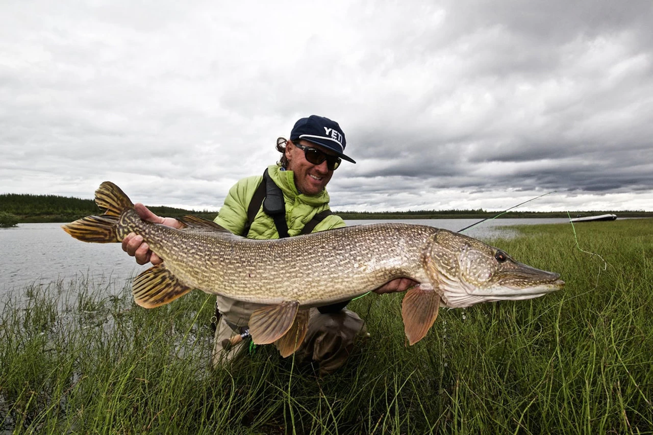 Thomas & Thomas Exocett Predator Fly Rod - 9 Ft. 4 In. - 45 Grain 4 Thomas & Thomas Exocett Predator Fly Rod - 9 Ft. 4 In. - 45 Grain - Image 4