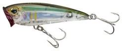 Yo-Zuri R1210 3D Inshore Popper Lure HHAY - Ayu